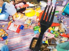 -西湖外事游船(花港观鱼码头)