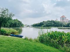 -映月湖公园
