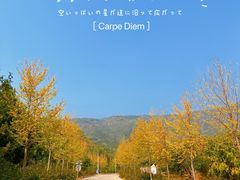 -北京十三陵国家森林公园蟒山景区