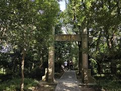 -上海佘山国家森林公园天马山园