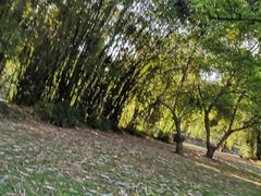 -贵阳市花溪国家城市湿地公园