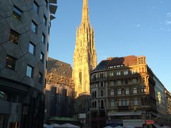 -斯蒂芬主教座堂(Stephansdom)