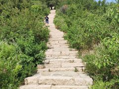 -北京西山国家森林公园