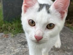 -东华大学(松江校区)