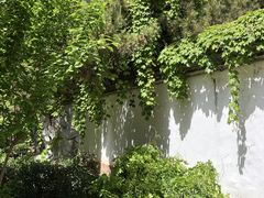 -西苑公园
