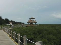 -北海金海湾红树林生态旅游区