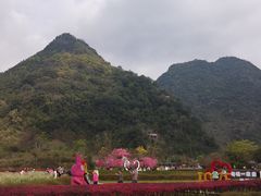 -靖西鹅泉风景区
