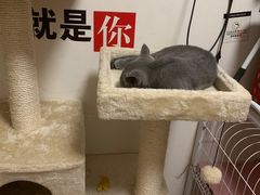 -北京恒爱动物医院(清景园分院)