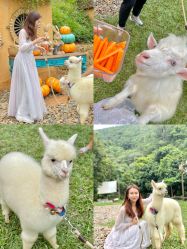 -花漾摄影优选工作室(东莞原创作品店)