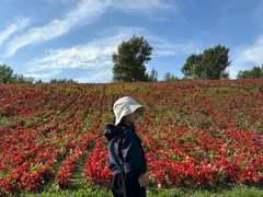 -长春世界雕塑园冰雪艺术天地