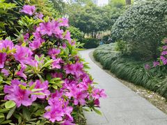 -杭州城北体育公园
