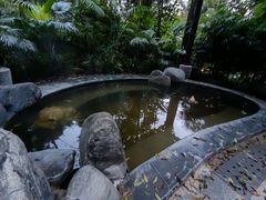 -青城道汤池