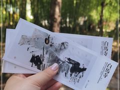 -洛阳白马寺