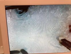 -蓝调造型