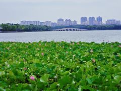 -石湖景区