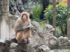 -黔灵山公园