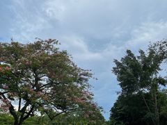 -中国科学院西双版纳热带植物园