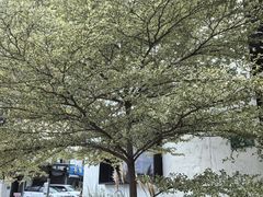 -来回·咖啡(钟村咖啡豆店)