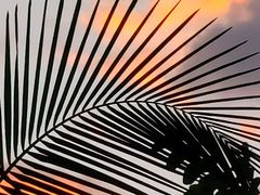 -筼筜书院