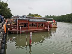 -大湾区中央湿地公园