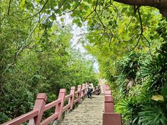 -东澳岛