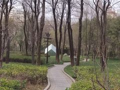 -木塔寺遗址生态公园