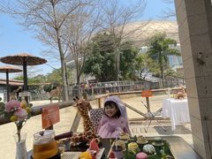 -灵玲国际马戏城