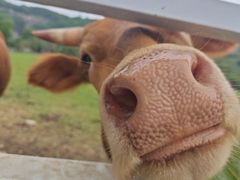 -宝业会稽山高尔夫俱乐部