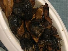 茶油焖黑鸡/只-茶油香闽南菜·花园餐厅(前埔店)
