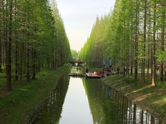 -黄海国家森林公园