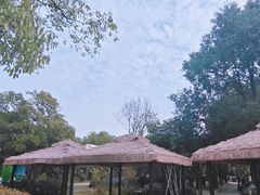 -桃园农庄·桃源宴