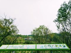 -西湖风景区-江洋畈生态公园