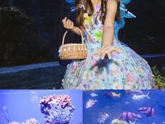 -南昌海洋公园