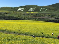 -扁都口生态休闲旅游区