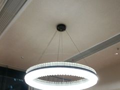 -杨氏青龙虾·羊蝎子(珠江路店)