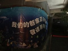 好几处连鱼缸都没有-苏州海洋馆