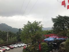 -老幺泉水鸡