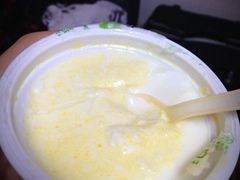 -德禄酸奶(莫家街店)