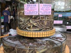 -荔城生鲜盛宴(番禺旗舰店)