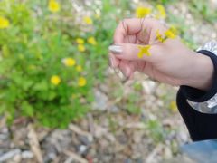 -将军关探险漂流