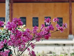 -天台山国清景区(国清寺)
