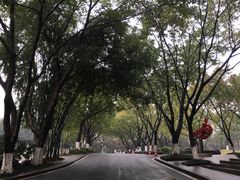 -黄桷坪涂鸦艺术街