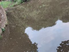 -月亮湾公园