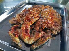 -双新垂钓园