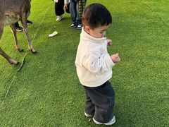 -盈香心动乐园