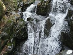 -藏龙百瀑风景区