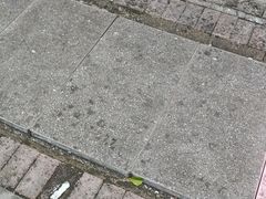 -巴国九王爷火锅(万盛总店)