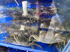 -阳澄湖大闸蟹·琼灵阁牌品牌连锁(吴中总店)