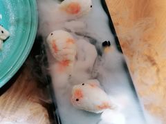 -粤域茶餐厅