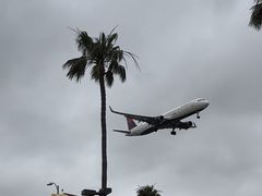 -In-N-Out Burger(LAX)